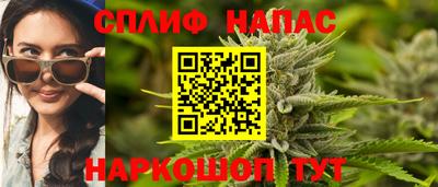 молекула духа Новозыбков