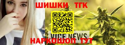 молекула духа Новозыбков