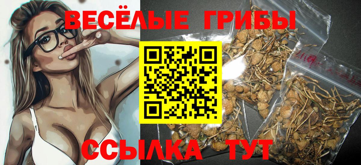 Галлюциногенные грибы прущие грибы  Псилоцибиновые грибы Magic Shrooms  Элиста  купить наркотики сайты  Вход с VPN 