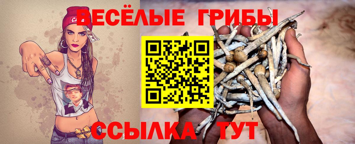 Галлюциногенные грибы прущие грибы Элиста