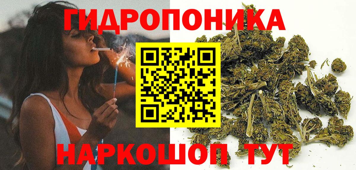 Бошки Шишки индика  Вход с VPN  Бошки марихуана семена  Элиста  Конопля индика 